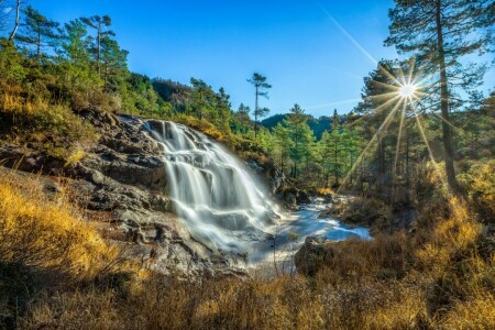 foresta, Kvitingen, Norvegia, Rogaland, il Sole, cascata