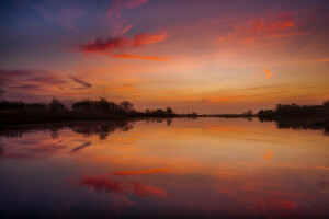 alba, foresta, lago, riflessione