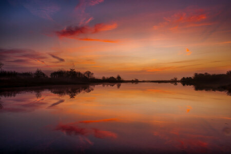 alba, foresta, lago, riflessione