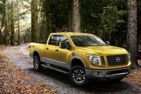 2015, Cabine de l'équipage, Nissan, Titan