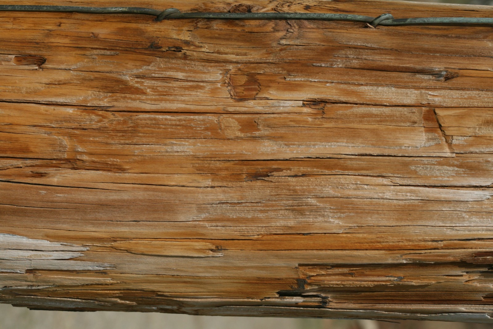 pared, de madera, las venas