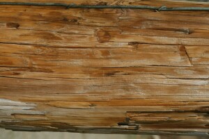 veins, wall, wooden