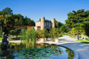 Baden-Württemberg, fiori, Fontana, Germania, Karlsruhe, piscina