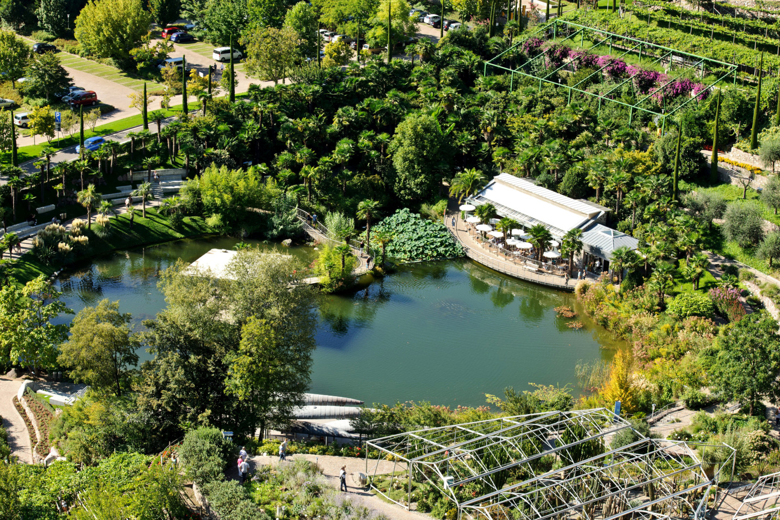 Parkere, trær, Italia, dam, Hage, palmer, utsikten fra toppen, Trauttmansdorff Castle Gardens