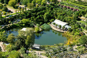 Trädgård, Italien, Palmer, Parkera, damm, utsikten uppifrån, Trauttmansdorff Castle Gardens, träd