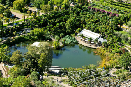 Jardín, Italia, palmeras, Parque, estanque, la vista desde arriba, Jardines del castillo de Trauttmansdorff, arboles