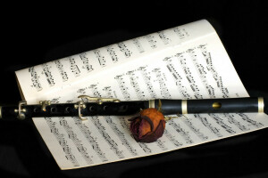 flower, flute, Music, notes