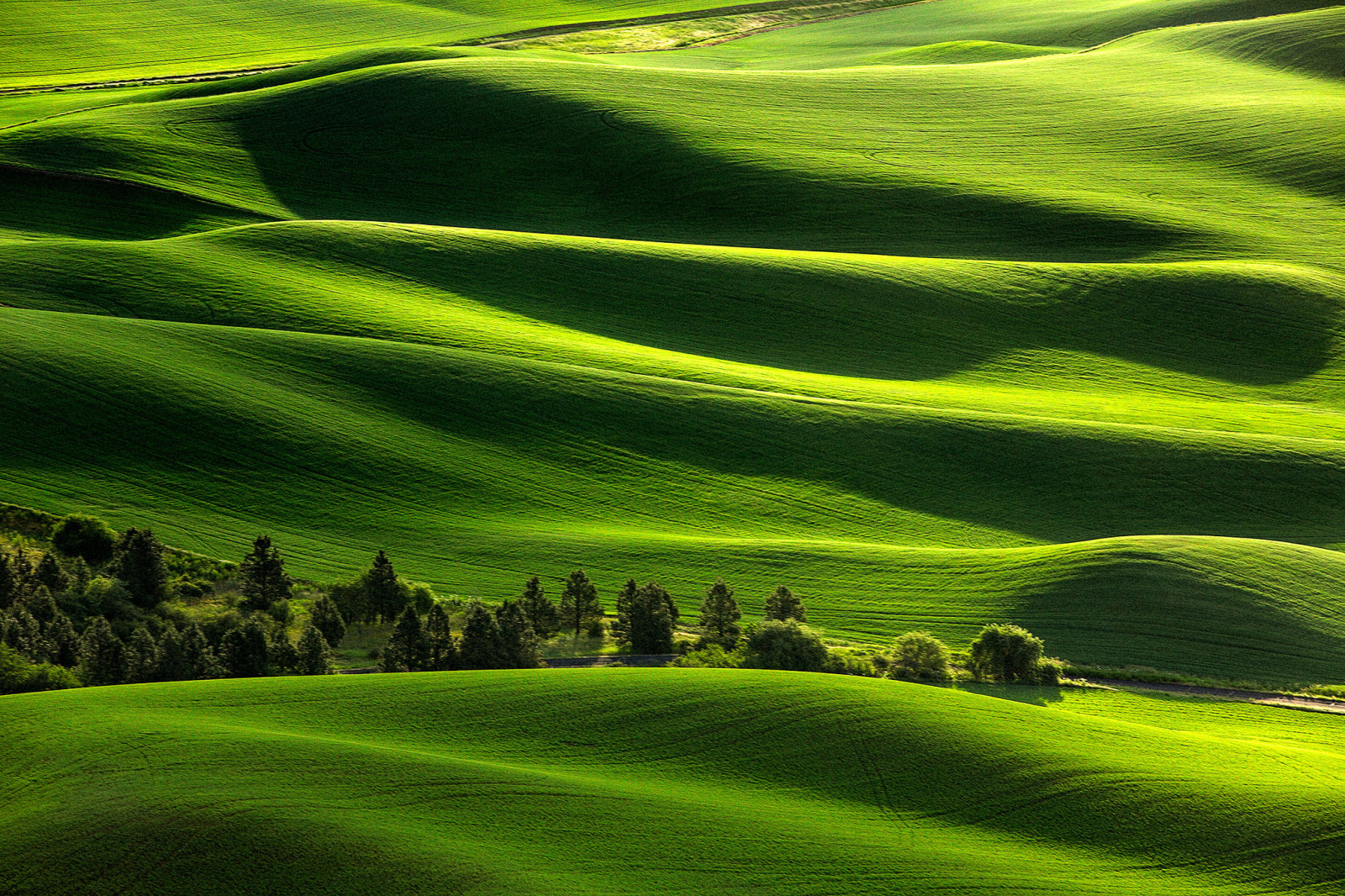 Natur, Landschaft, Feld