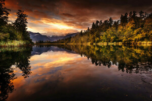 Skov, Fox Glacier, sø, Lake Matheson, morgen, bjerge, New Zealand, afspejling