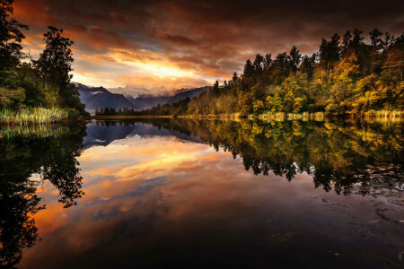 les, Fox Glacier, jezero, Lake Matheson, ráno, hory, Nový Zéland, odraz