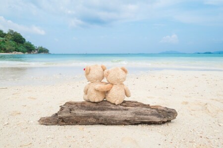 playa, oso, Tablero, Pareja, linda, amor, par, romántico