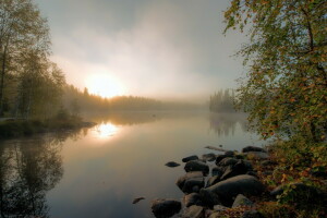 autunno, nebbia, lago, mattina