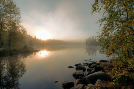 autumn, fog, lake, morning