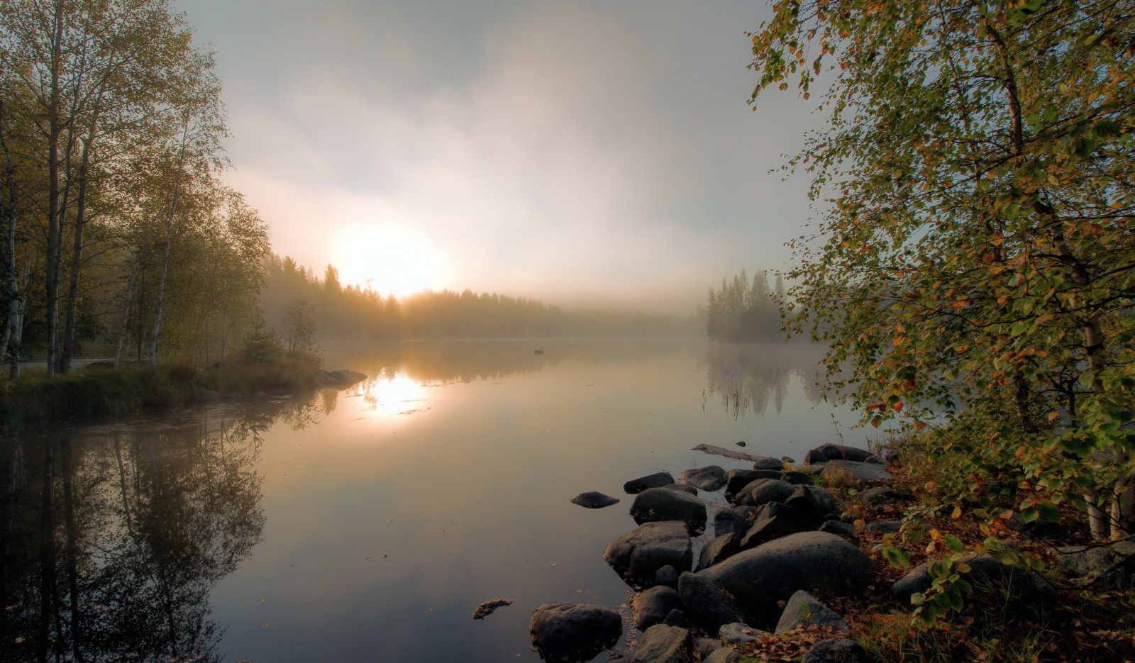 efterår, sø, morgen, tåge