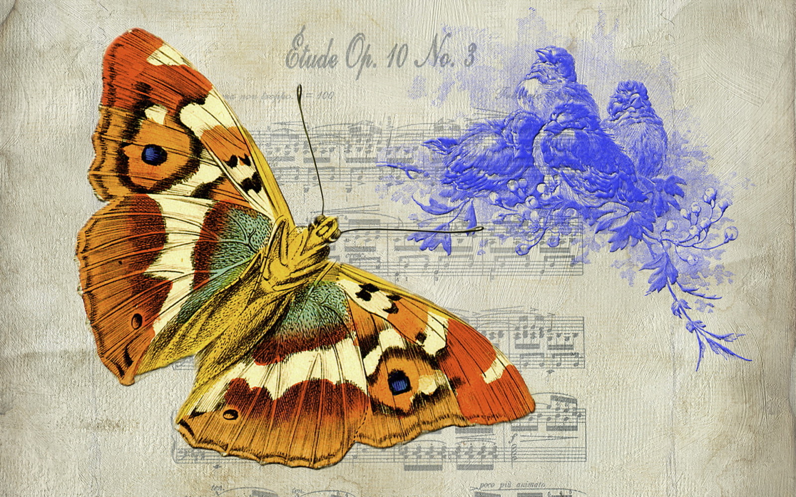 background, BUTTERFLY, texture