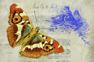 background, BUTTERFLY, texture