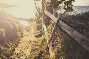 light, morning, the fence