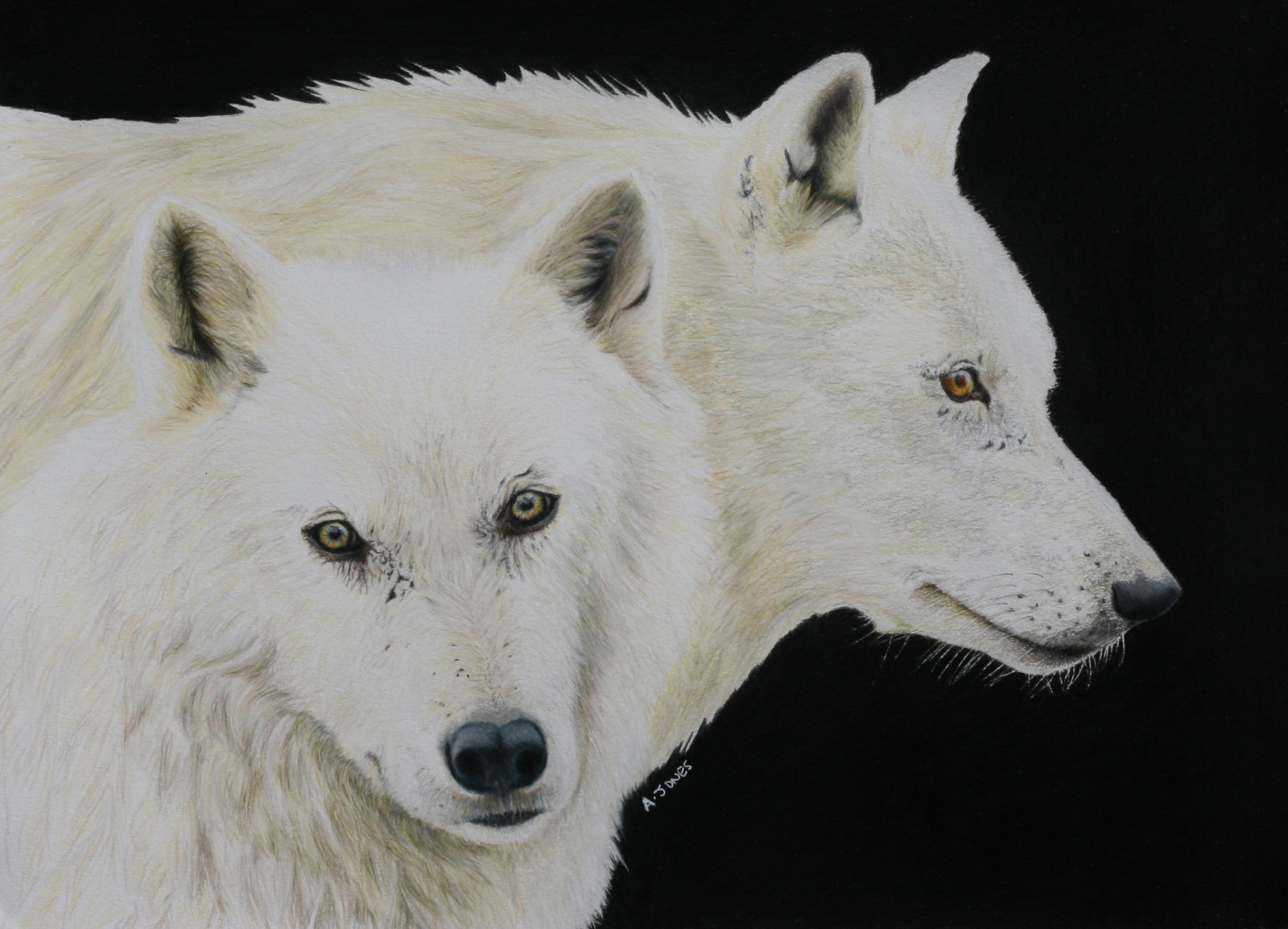 Regardez, loups, La peinture