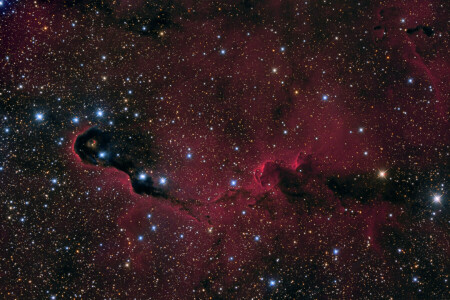 Trompa de elefante, nebulosa, espacio