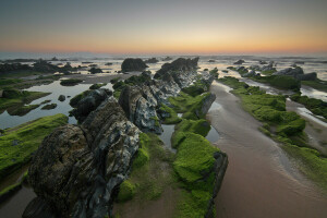 algas, horizonte, pedras, mar, pedras, pôr do sol, o céu, Maré