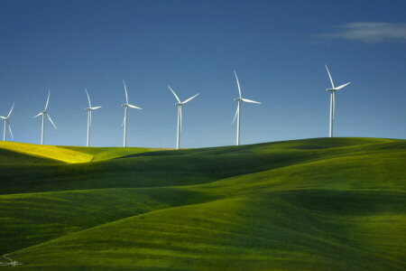 campo, césped, naturaleza, molinos de viento