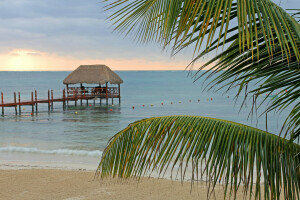 Laube, Strand, Pavillon, Palma, durchbohren, Meer, Ufer, bleibe