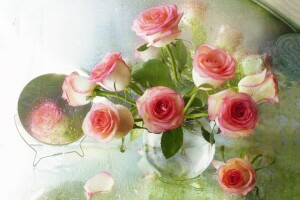 drops, mirror, roses, vase