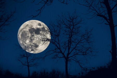 notte, La luna, il cielo