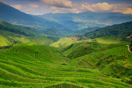 clouds, hills, mountains, plantation, the sky