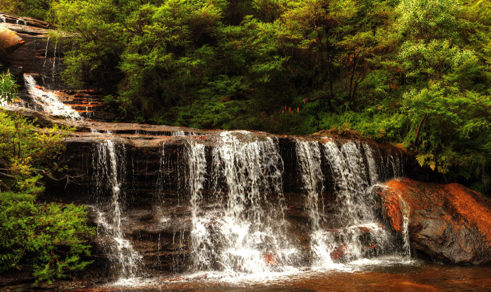 piedras, cascada, Australia, corriente, los arbustos, cascada, Wentworth Falls