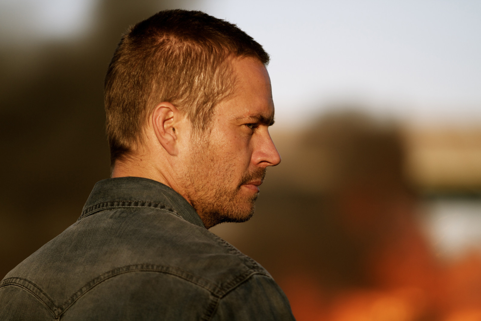 fundo, quadro, Armação, borrão, ator, perfil, Paul Walker, Carro nº 19, veículo 19