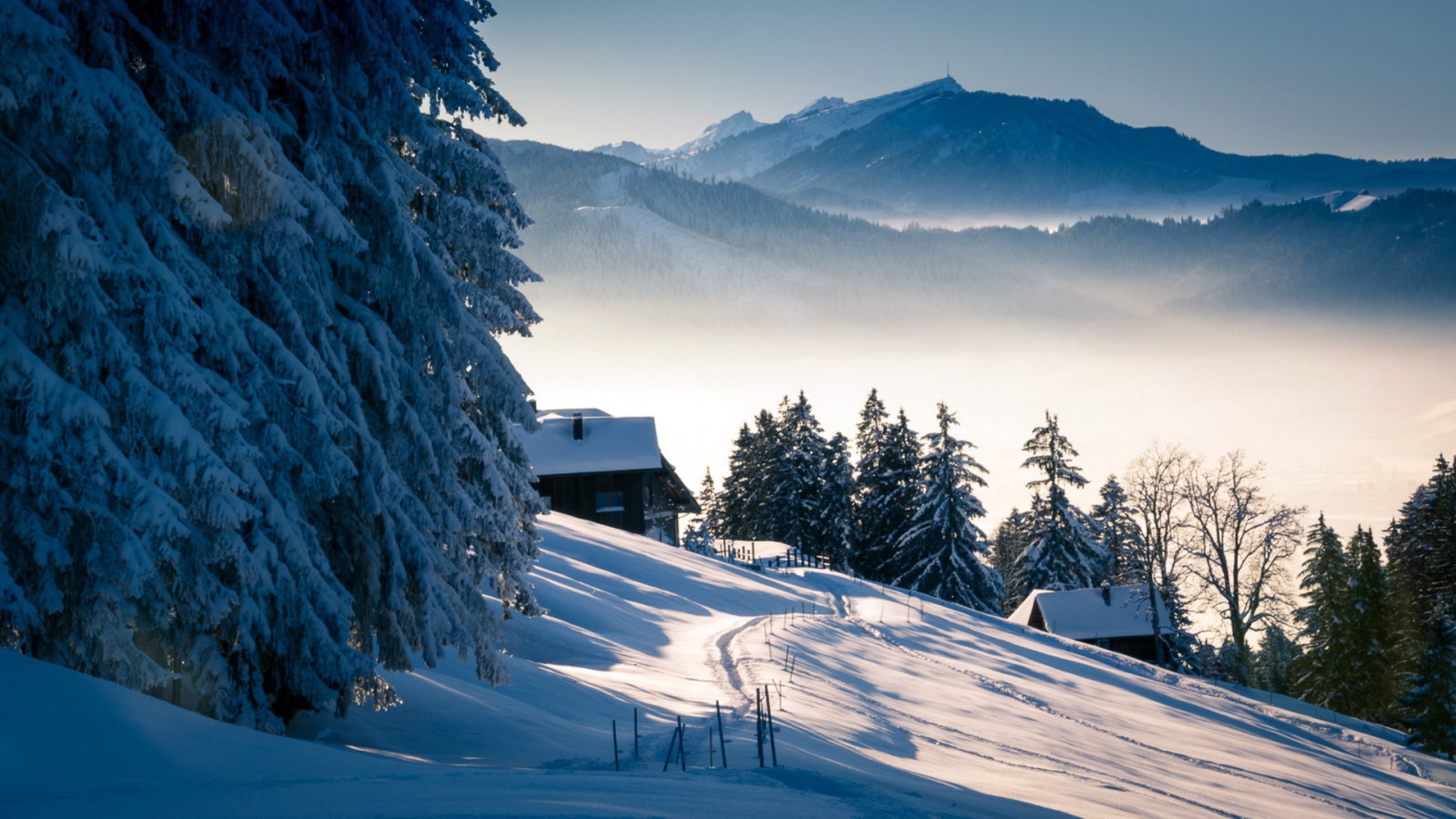 neige, hiver, montagnes