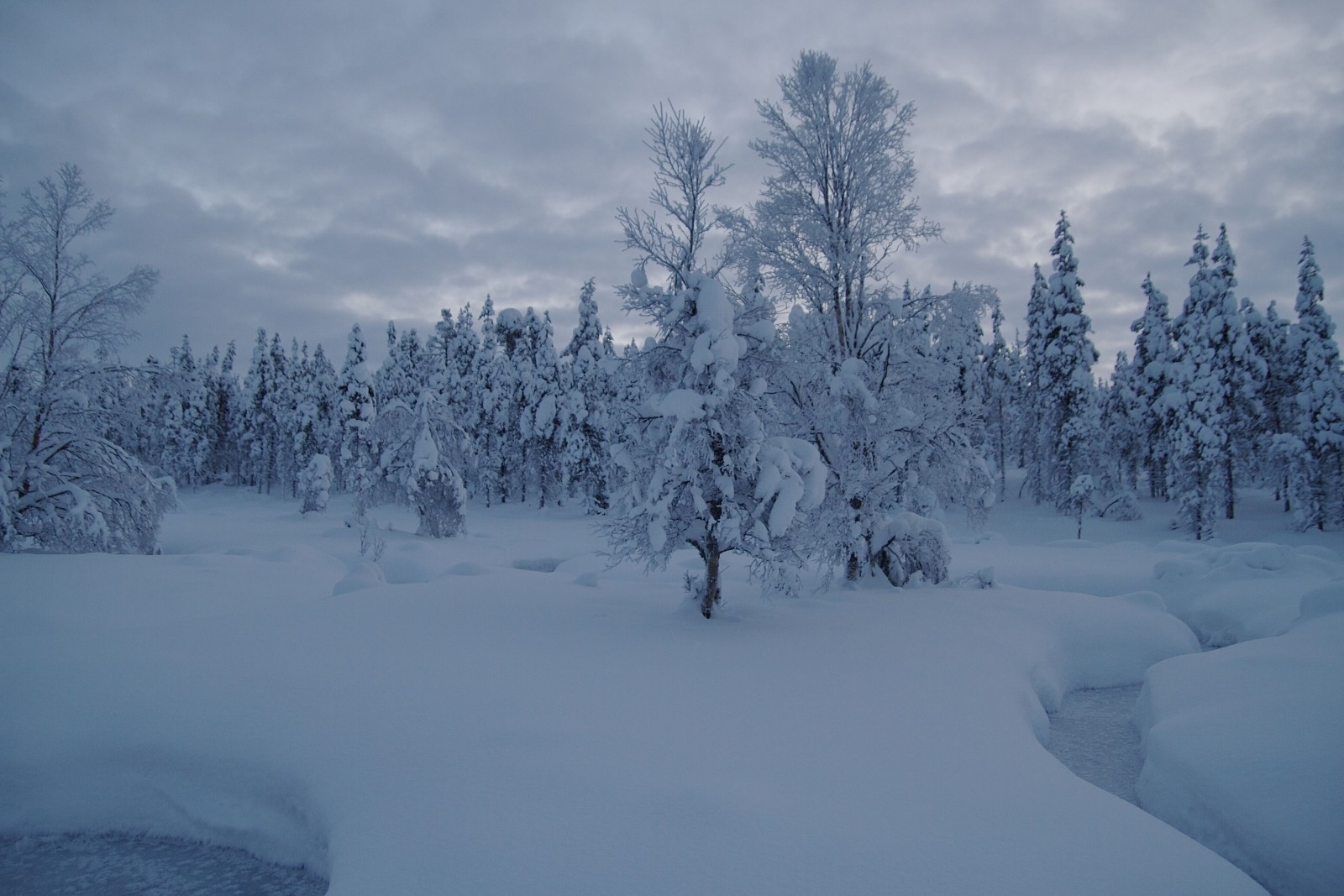 snow, forest, winter, trees, Finland, Lapland, the snow, stream