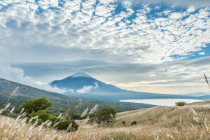 Fuji, Japonsko, krajina, Hora, nebe, stromy