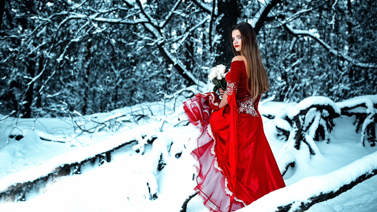 snow, forest, girl, winter, roses, bouquet, dress, in red