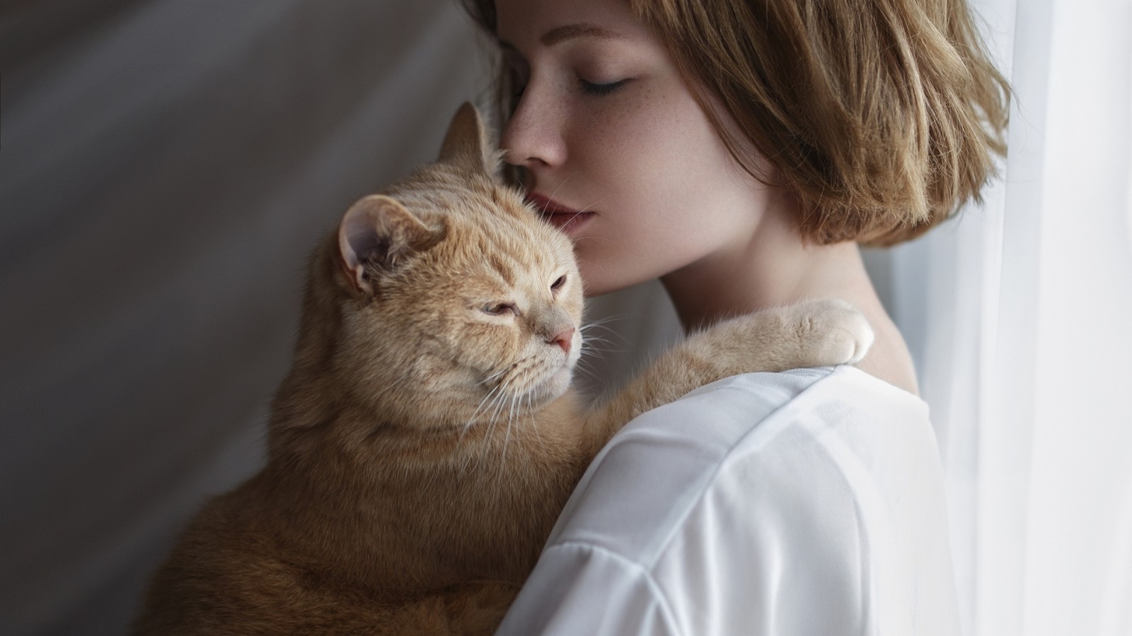 cara, gato, amor, Mujer