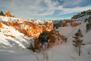 arch, canyon, mountains, rocks, snow, the sky, trees, winter