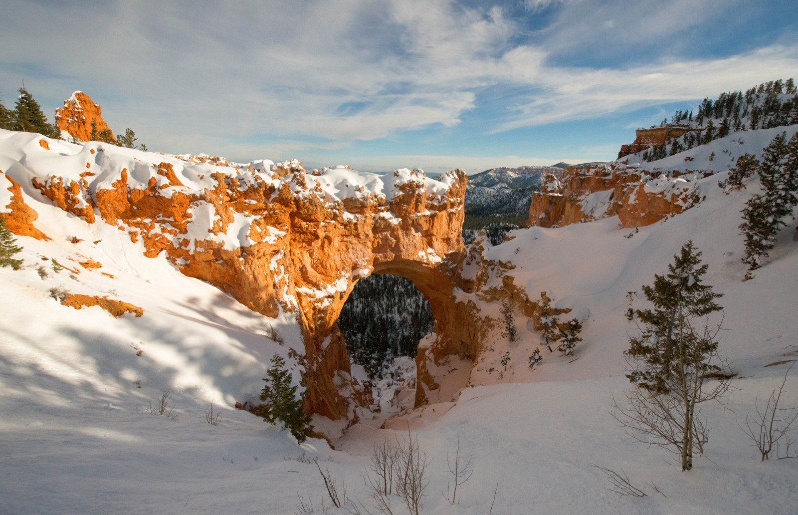 nieve, el cielo, invierno, arboles, montañas, arco, rocas, cañón