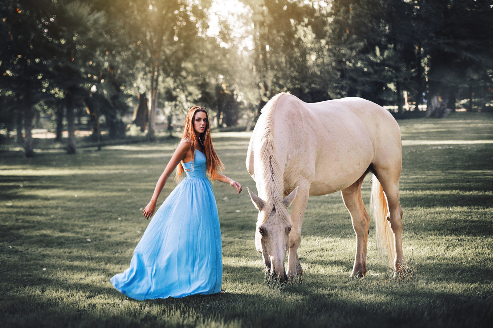 antecedentes, niña, caballo