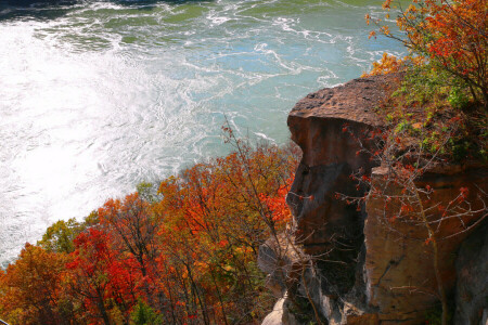 autunno, Canada, Niagara, fiume, roccia, alberi