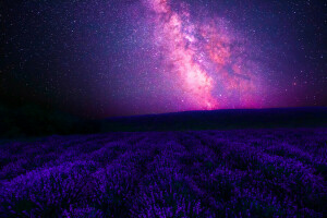 Centro, Galáctico, galáxia, panorama, lavanda, leitoso, noite, céu