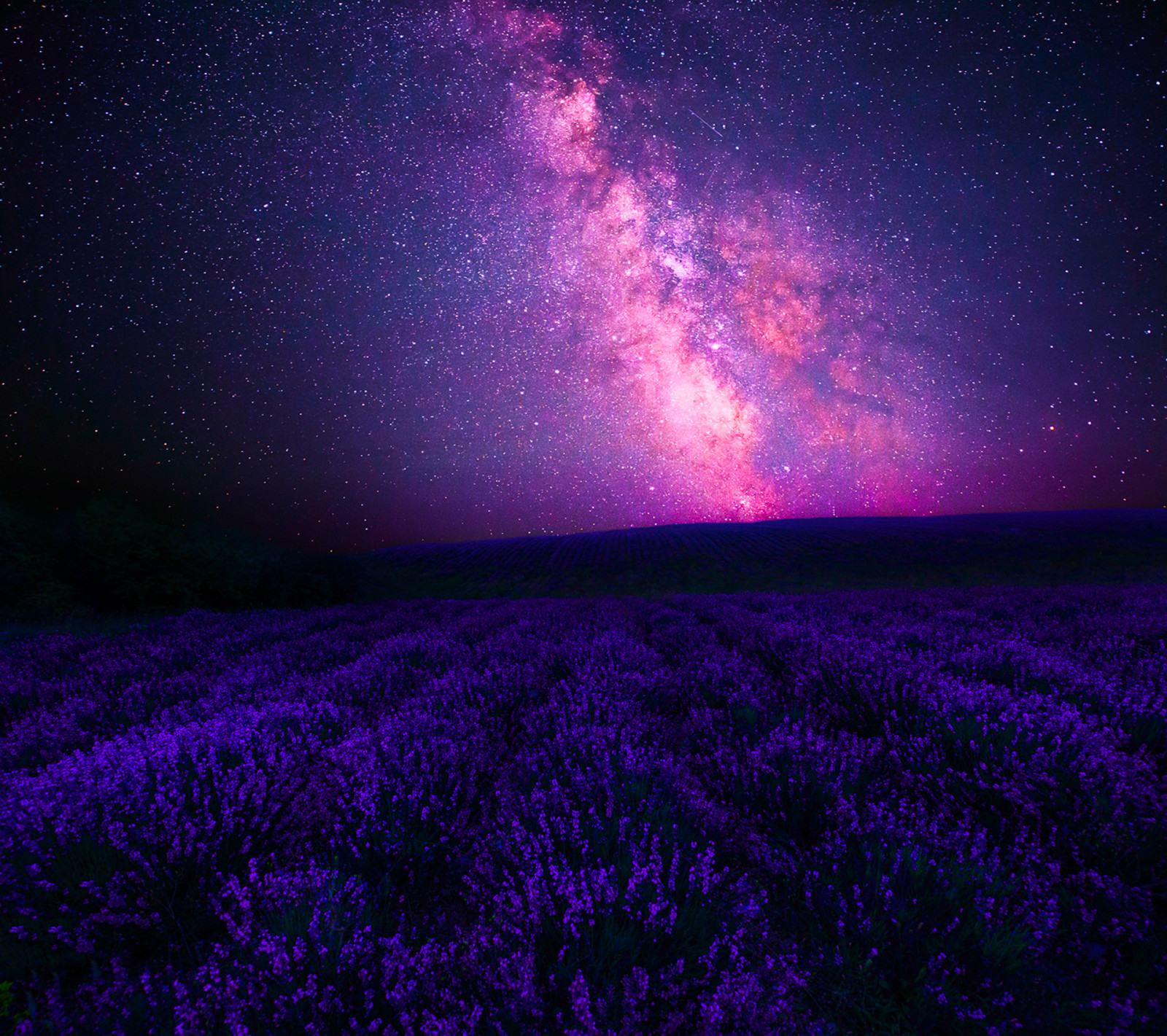 Landschaft, Lavendel, Nacht, Himmel, Sterne, Galaxis, Center, Weg