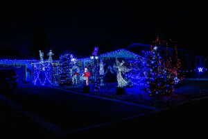 angel, Christmas, lights, New Year, night, tree