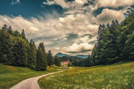 nuvole, azienda agricola, fiori, erba, casa, montagne, strada, Torre