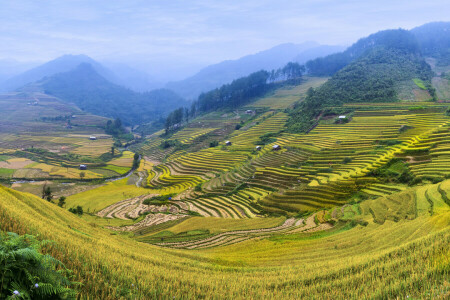 field, hills, Houses