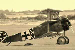 durante, Combattente, Primo, forze, Germania, Triplane, Guerra, Mondo