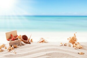 strand, sand, hav, muslingeskaller, skal, søstjerne, sommer, solen