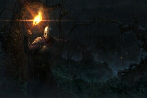 armor, fantasy, fire, forest, mask, night, people, torch