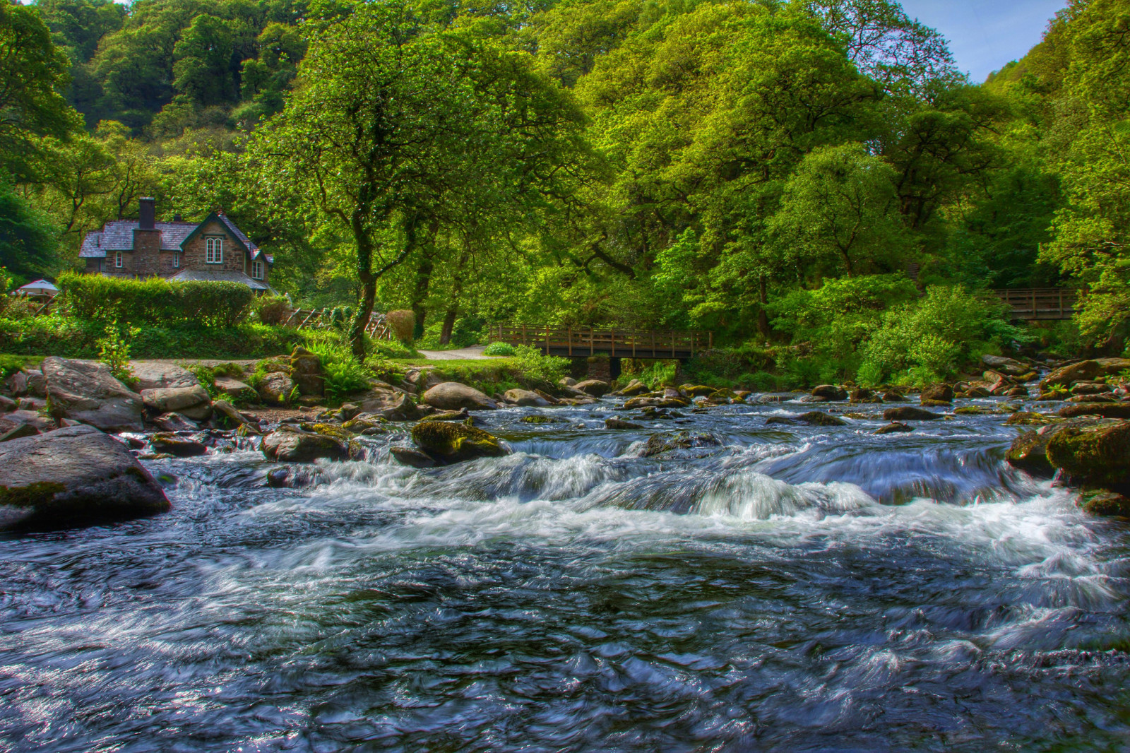 Skov, hus, flod, træer, England, Devon, Exmoor, East Lyn River