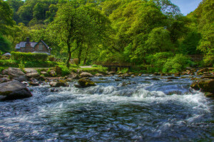 Devon, East Lyn River, England, Exmoor, skog, hus, elv, trær